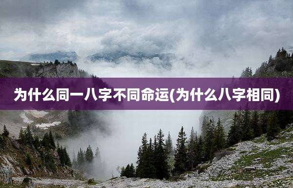 为什么同一八字不同命运(为什么八字相同)