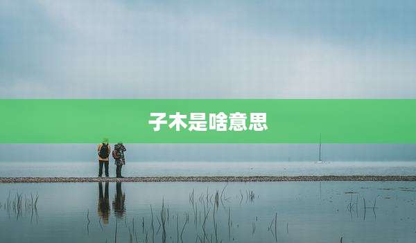 子木是啥意思