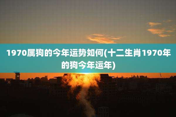 1970属狗的今年运势如何(十二生肖1970年的狗今年运年)