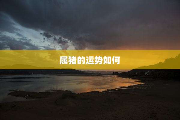 属猪的运势如何