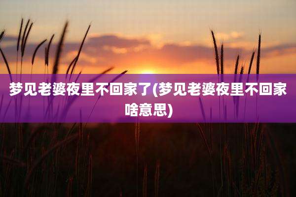 梦见老婆夜里不回家了(梦见老婆夜里不回家啥意思)