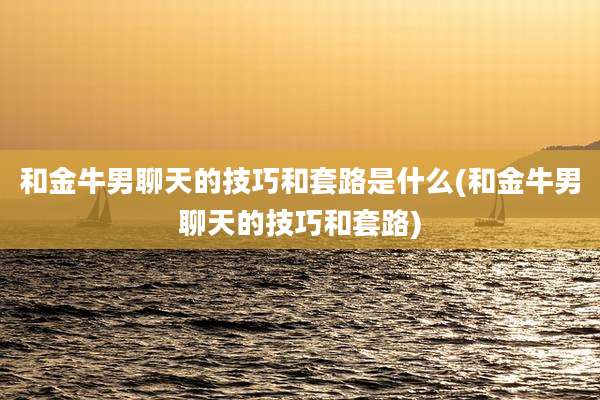 和金牛男聊天的技巧和套路是什么(和金牛男聊天的技巧和套路)