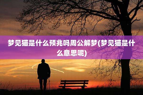 梦见猫是什么预兆吗周公解梦(梦见猫是什么意思呢)