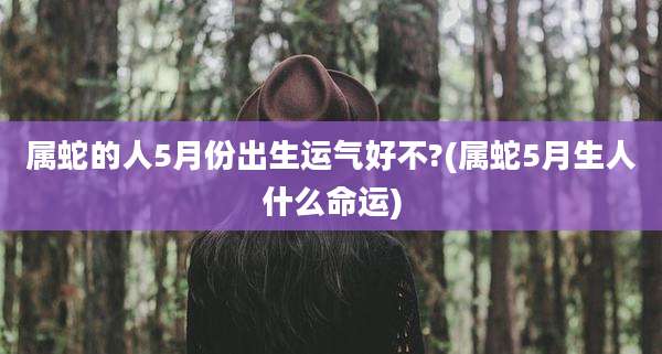 属蛇的人5月份出生运气好不?(属蛇5月生人什么命运)