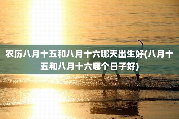 农历八月十五和八月十六哪天出生好(八月十五和八月十六哪个日子好)