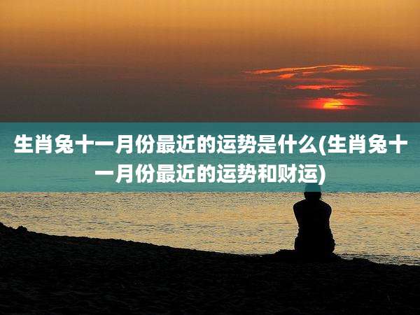 生肖兔十一月份最近的运势是什么(生肖兔十一月份最近的运势和财运)