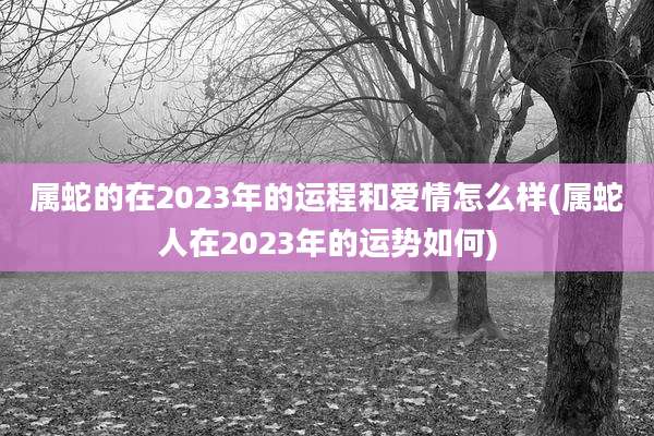 属蛇的在2023年的运程和爱情怎么样(属蛇人在2023年的运势如何)