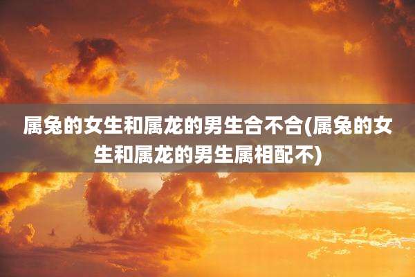 属兔的女生和属龙的男生合不合(属兔的女生和属龙的男生属相配不)