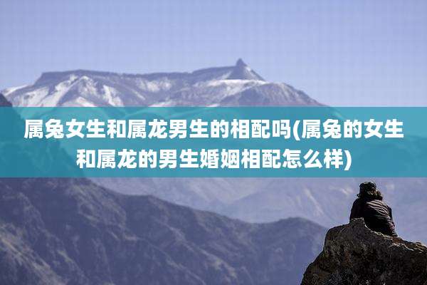 属兔女生和属龙男生的相配吗(属兔的女生和属龙的男生婚姻相配怎么样)