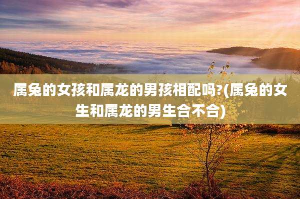 属兔的女孩和属龙的男孩相配吗?(属兔的女生和属龙的男生合不合)
