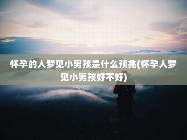 怀孕的人梦见小男孩是什么预兆(怀孕人梦见小男孩好不好)