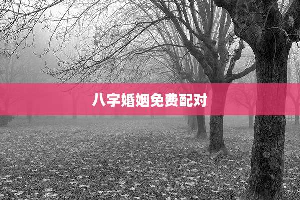 八字婚姻免费配对