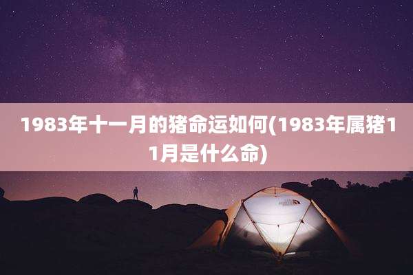 1983年十一月的猪命运如何(1983年属猪11月是什么命)