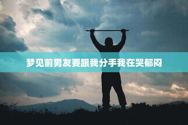 梦见前男友要跟我分手我在哭郁闷