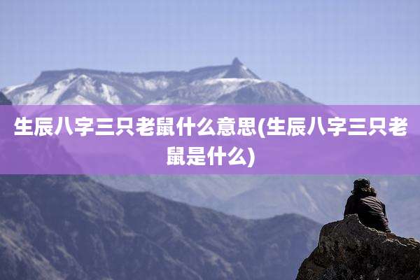 生辰八字三只老鼠什么意思(生辰八字三只老鼠是什么)