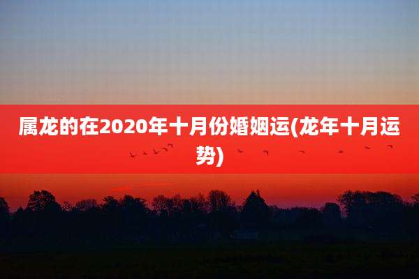 属龙的在2020年十月份婚姻运(龙年十月运势)