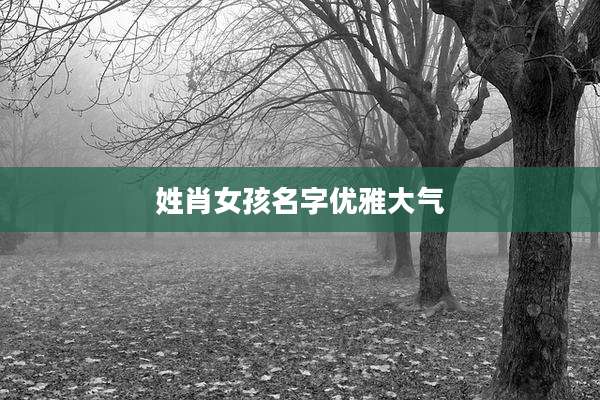 姓肖女孩名字优雅大气