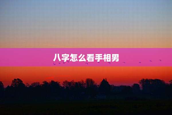 八字怎么看手相男