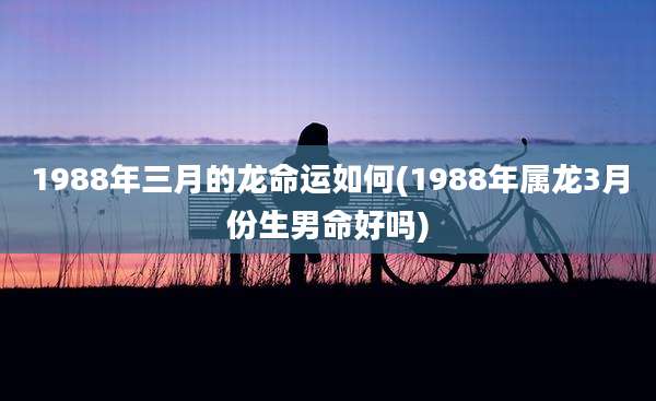1988年三月的龙命运如何(1988年属龙3月份生男命好吗)