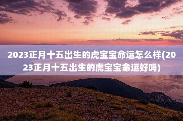 2023正月十五出生的虎宝宝命运怎么样(2023正月十五出生的虎宝宝命运好吗)