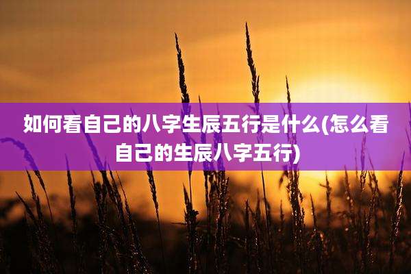 如何看自己的八字生辰五行是什么(怎么看自己的生辰八字五行)