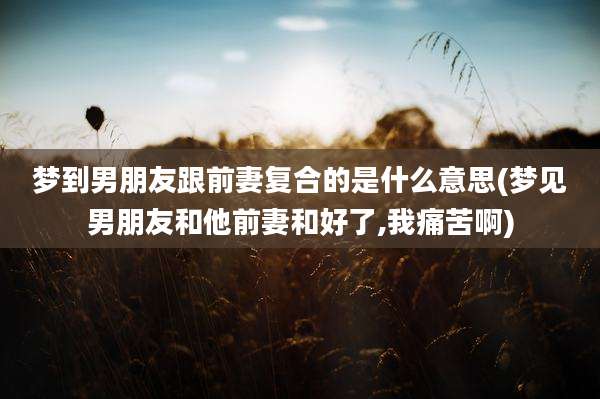 梦到男朋友跟前妻复合的是什么意思(梦见男朋友和他前妻和好了,我痛苦啊)