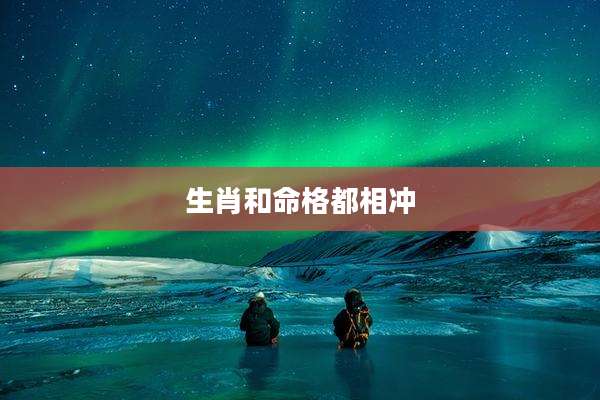生肖和命格都相冲