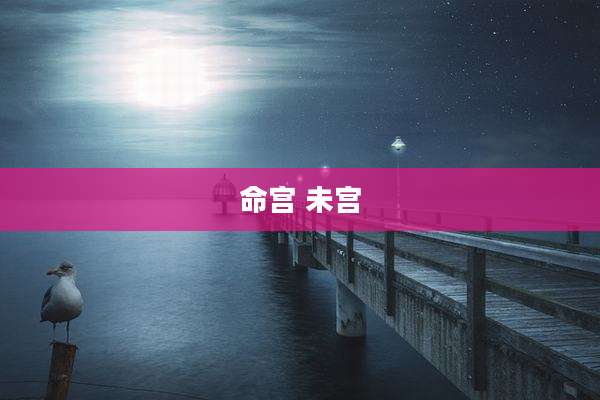 命宫 未宫