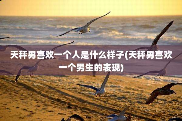 天秤男喜欢一个人是什么样子(天秤男喜欢一个男生的表现)