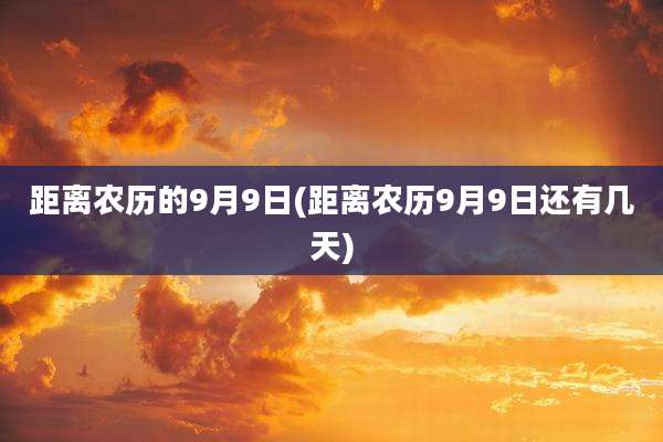 距离农历的9月9日(距离农历9月9日还有几天)