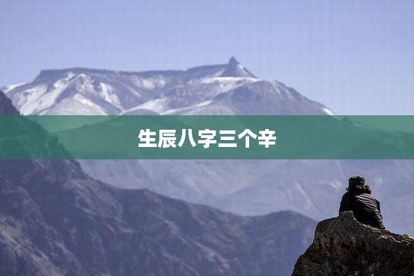 生辰八字三个辛