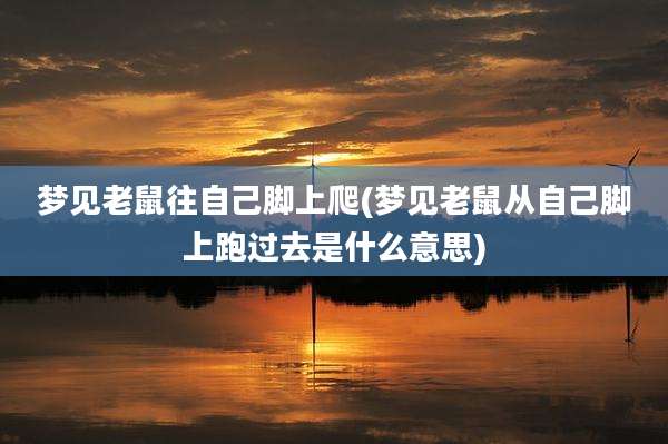 梦见老鼠往自己脚上爬(梦见老鼠从自己脚上跑过去是什么意思)
