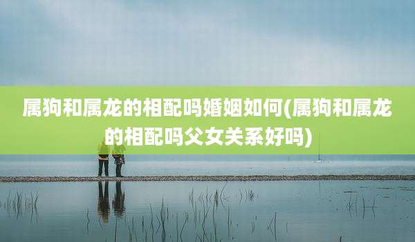 属狗和属龙的相配吗婚姻如何(属狗和属龙的相配吗父女关系好吗)