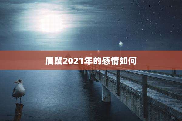 属鼠2021年的感情如何