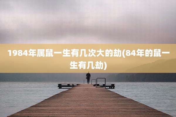 1984年属鼠一生有几次大的劫(84年的鼠一生有几劫)