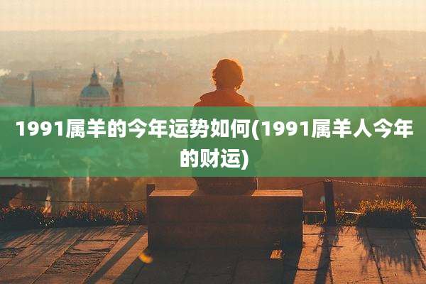 1991属羊的今年运势如何(1991属羊人今年的财运)