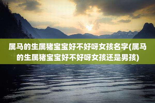 属马的生属猪宝宝好不好呀女孩名字(属马的生属猪宝宝好不好呀女孩还是男孩)