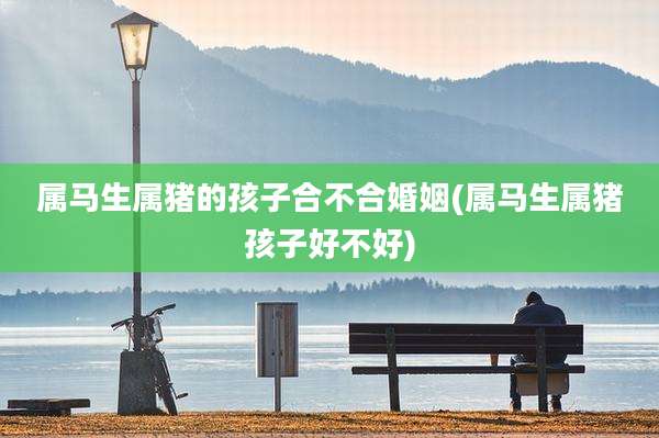 属马生属猪的孩子合不合婚姻(属马生属猪孩子好不好)