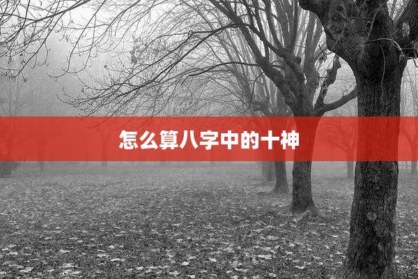怎么算八字中的十神