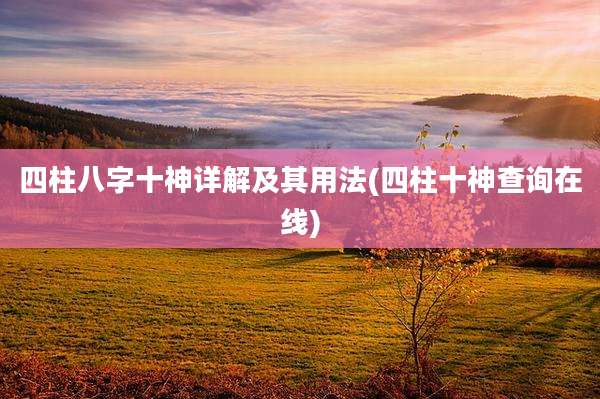 四柱八字十神详解及其用法(四柱十神查询在线)