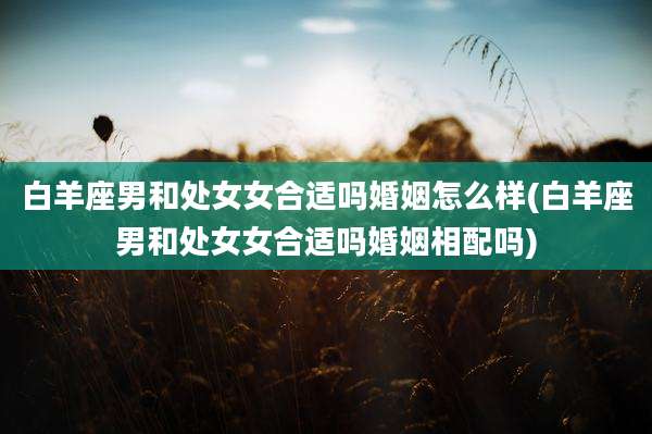白羊座男和处女女合适吗婚姻怎么样(白羊座男和处女女合适吗婚姻相配吗)