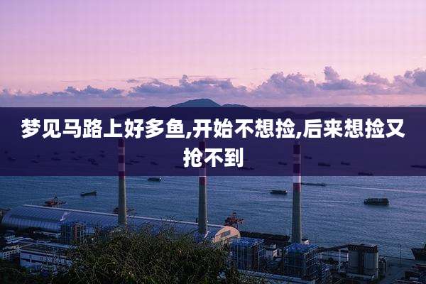 梦见马路上好多鱼,开始不想捡,后来想捡又抢不到