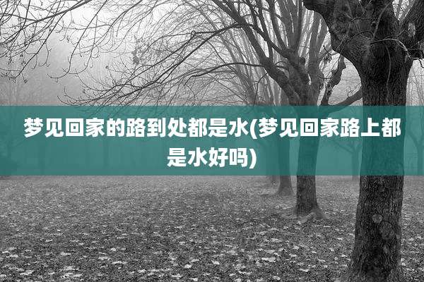 梦见回家的路到处都是水(梦见回家路上都是水好吗)