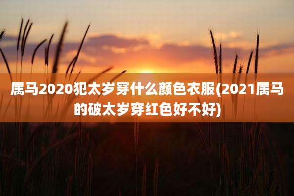 属马2020犯太岁穿什么颜色衣服(2021属马的破太岁穿红色好不好)