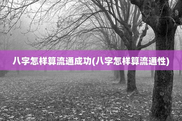 八字怎样算流通成功(八字怎样算流通性)