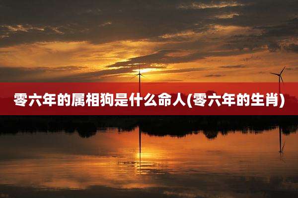 零六年的属相狗是什么命人(零六年的生肖)