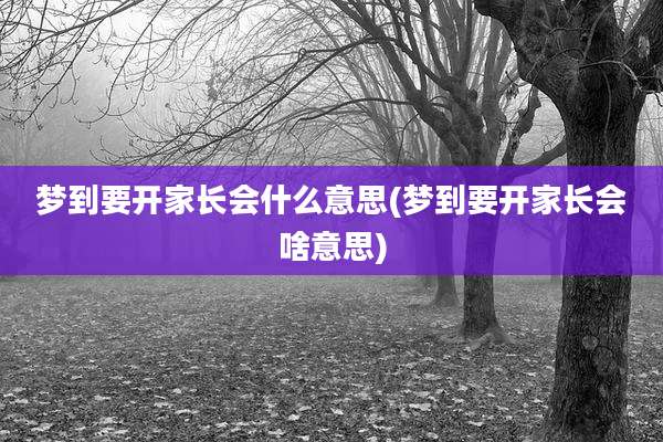 梦到要开家长会什么意思(梦到要开家长会啥意思)