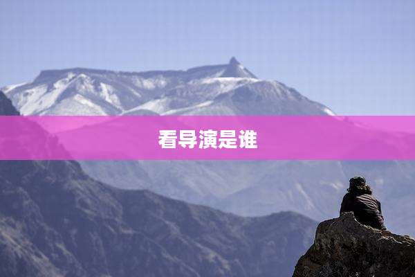 看导演是谁