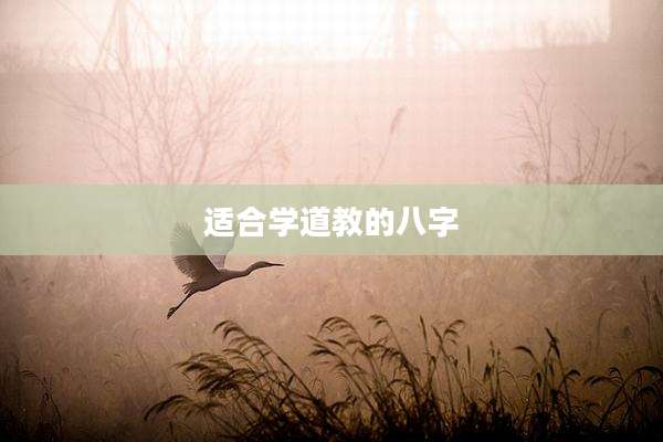 适合学道教的八字