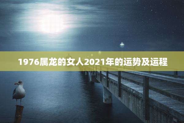 1976属龙的女人2021年的运势及运程